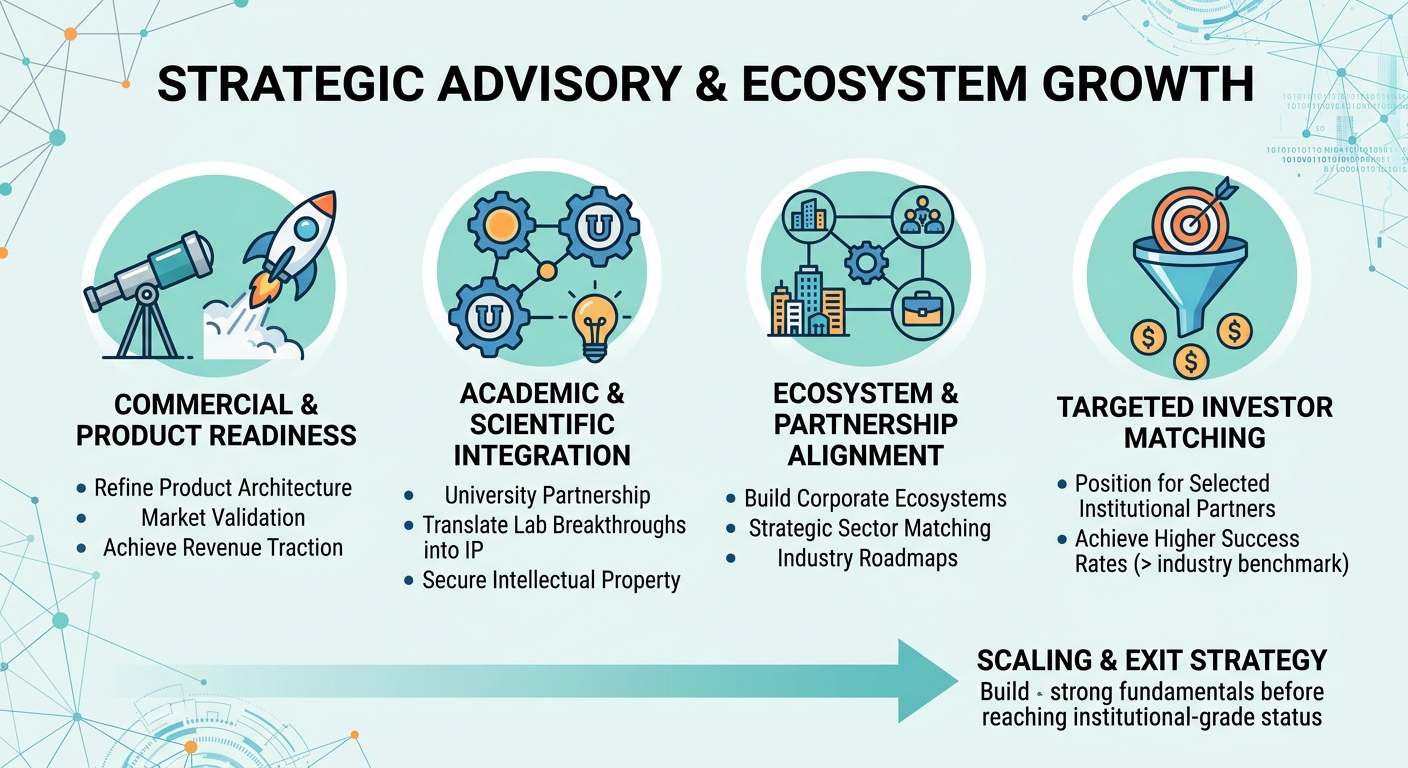 Strategic Advisory Beyond Traditional Venture Capital for Scale-Ups and Research Spin-Outs United Arab Emirates